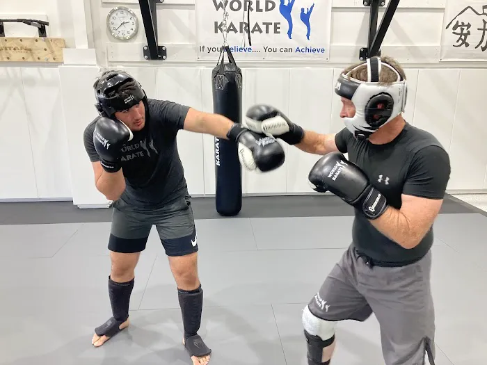 World Karate Boerne Picture 8