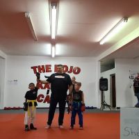 The Dojo Karate Academy ico