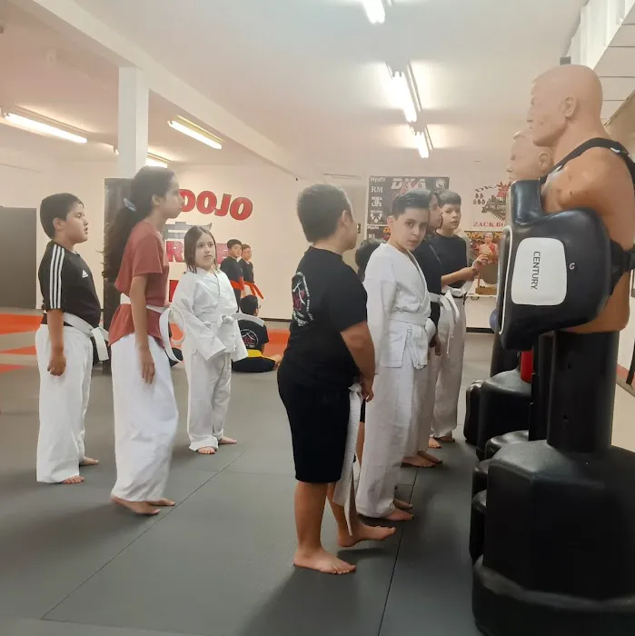 The Dojo Karate Academy Picture 2