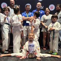 210 Taekwondo ico