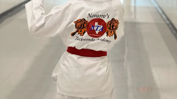 Navarro’s Taekwondo Academy Picture 1