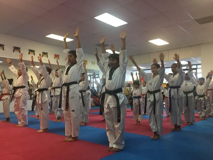JK Taekwondo Martial Arts Academy Picture 6