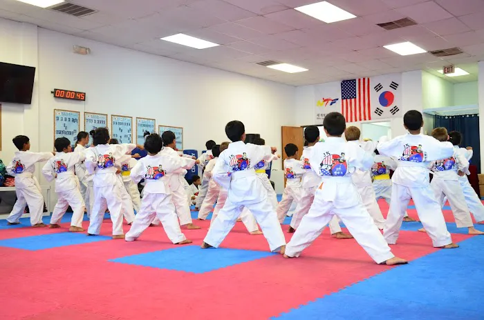 JK Taekwondo Martial Arts Academy Picture 3