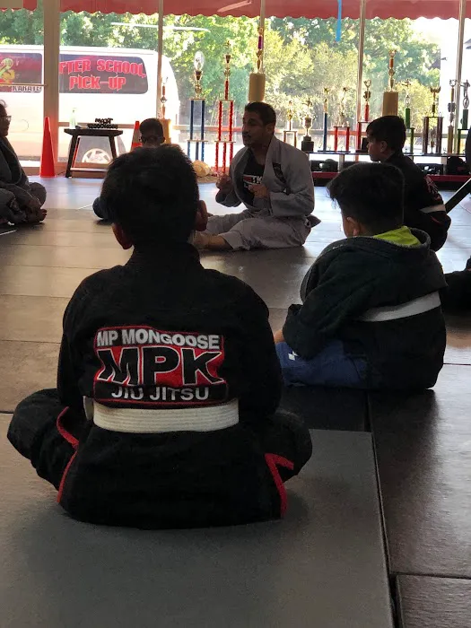 Mongoose Martial Arts Picture 4
