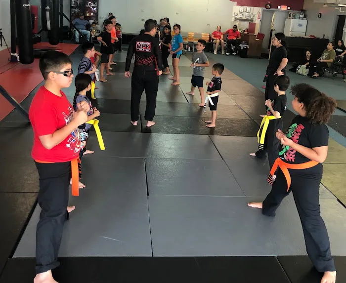 Mongoose Martial Arts Picture 5