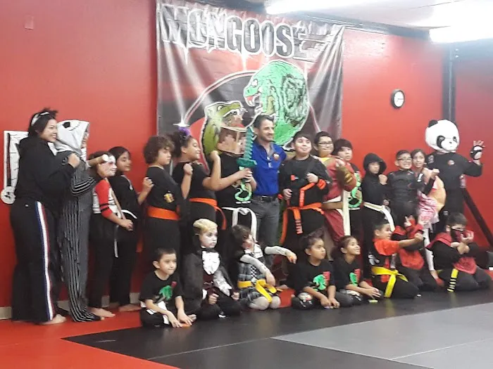 Mongoose Martial Arts Picture 6
