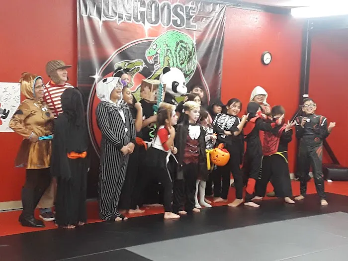 Mongoose Martial Arts Picture 7