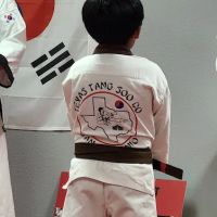 Texas Tang Soo Do ico