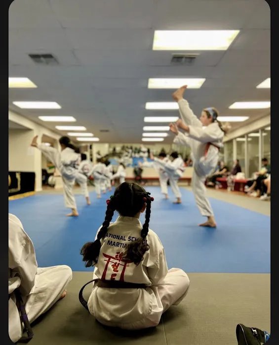 National School of Martial Arts Picture 9