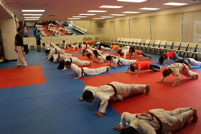 National School of Martial Arts Picture 8