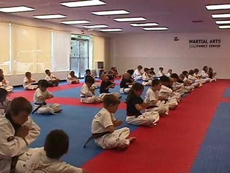 National School of Martial Arts Picture 10