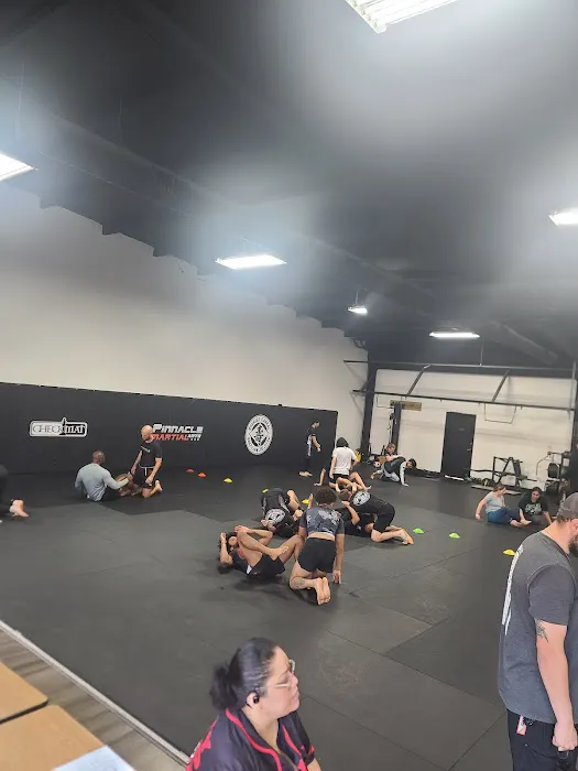 Pinnacle Martial Arts Brazilian Jiu Jitsu & MMA San Antonio Picture 1