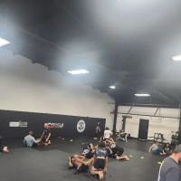 Pinnacle Martial Arts Brazilian Jiu Jitsu & MMA San Antonio ico