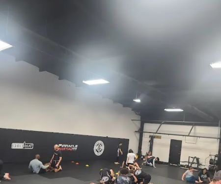 Pinnacle Martial Arts Brazilian Jiu Jitsu & MMA San Antonio