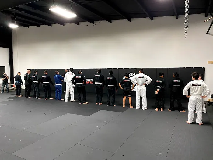 Pinnacle Martial Arts Brazilian Jiu Jitsu & MMA San Antonio Picture 2