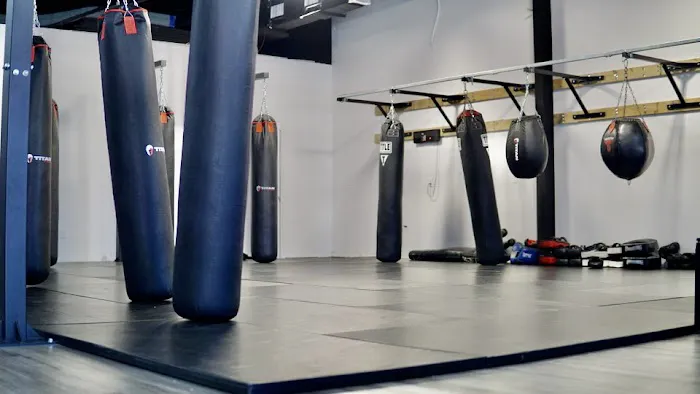 Pinnacle Martial Arts Brazilian Jiu Jitsu & MMA San Antonio Picture 6