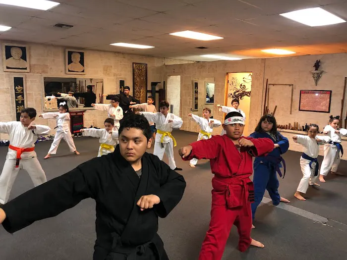 Shorin-ryu Karate Picture 1