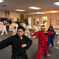 Shorin-ryu Karate ico