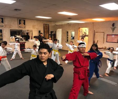 Shorin-ryu Karate