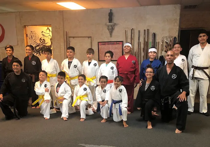 Shorin-ryu Karate Picture 3