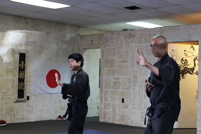 Shorin-ryu Karate Picture 10