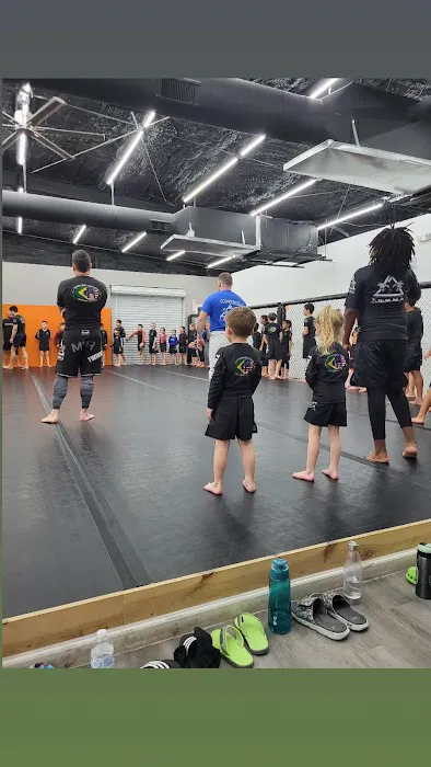 Twin Wolves Martial Arts Academy Picture 3