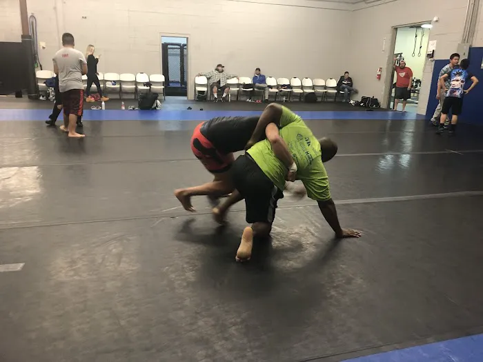 Twin Wolves Martial Arts Academy Picture 1