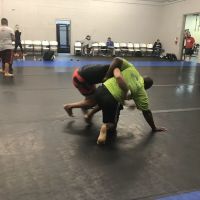 Twin Wolves Martial Arts Academy ico