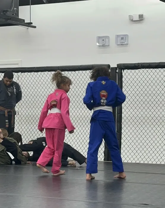 Twin Wolves Martial Arts Academy Picture 8