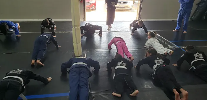 Twin Wolves Martial Arts Academy Picture 9