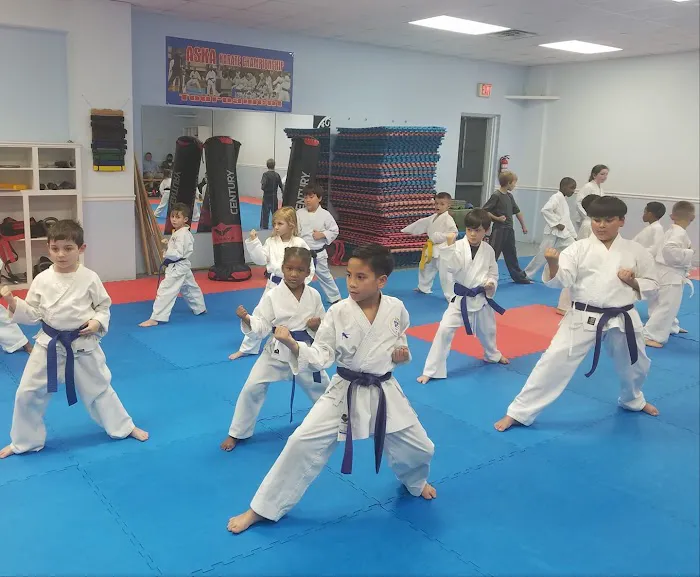 American Shotokan Karate Academy Picture 1