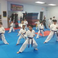 American Shotokan Karate Academy ico