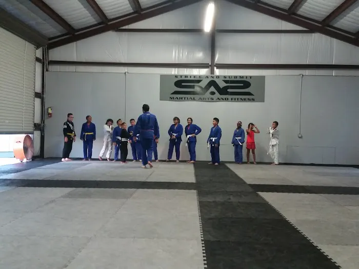 Strike And Submit Martial Arts And Fitness Picture 5