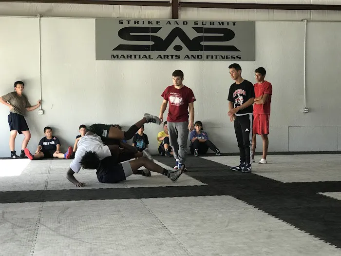 Strike And Submit Martial Arts And Fitness Picture 9