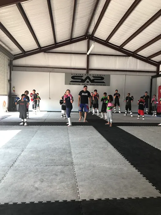 Strike And Submit Martial Arts And Fitness Picture 10