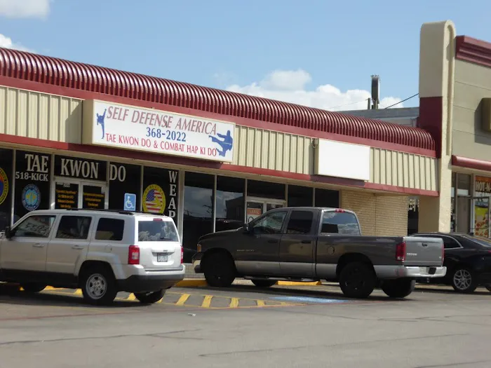 Self Defense America Picture 3