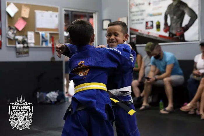 Storm MMA & Fitness Picture 7