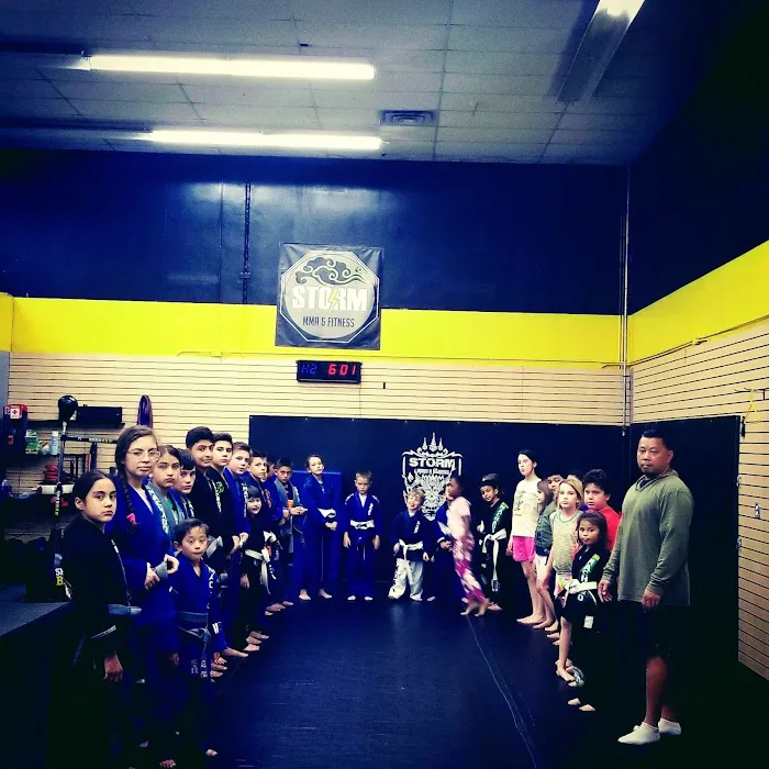 Storm MMA & Fitness Picture 10