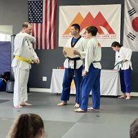 Vertical Journey Martial Arts ico