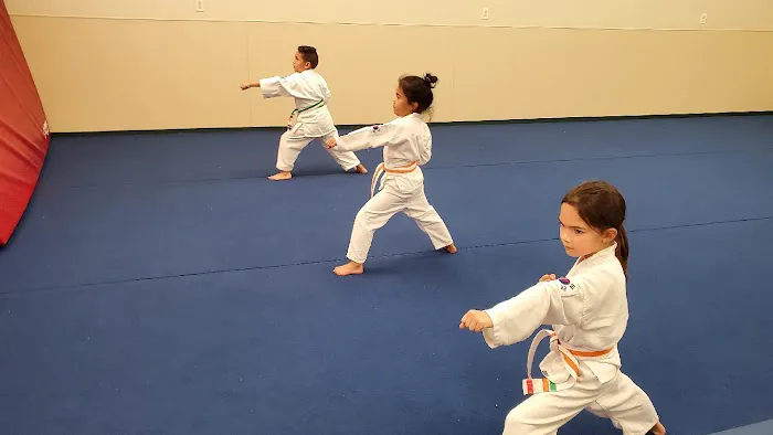 K Defense Martial Arts (Lackland) Picture 8
