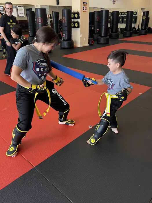 Victory Martial Arts - Leon Springs Picture 6