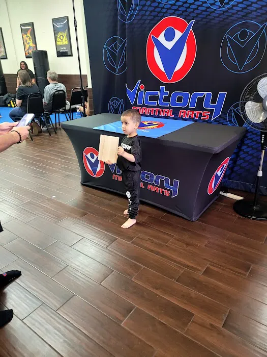 Victory Martial Arts - Bandera Picture 2