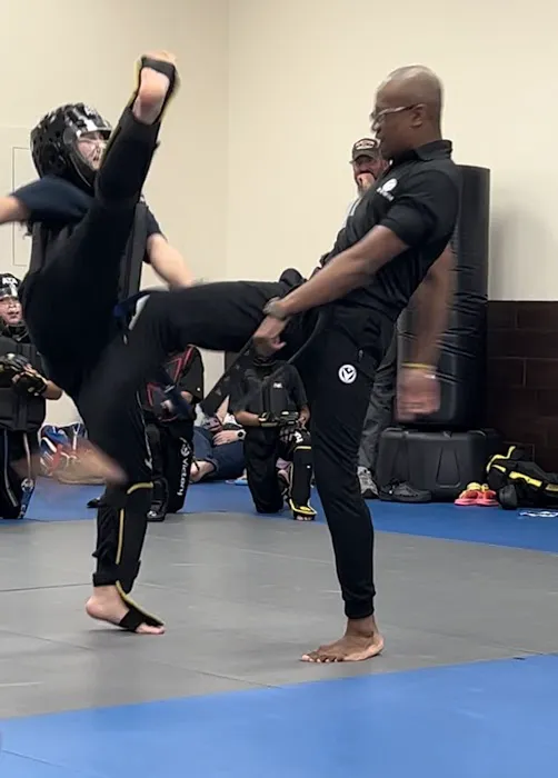 Victory Martial Arts - Bandera Picture 4