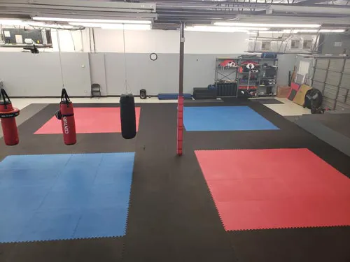 DC Martial Arts Picture 6