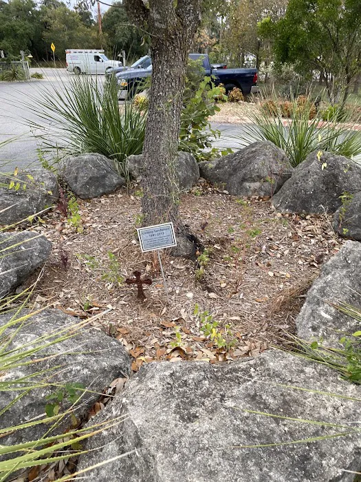 World Karate Picture 9