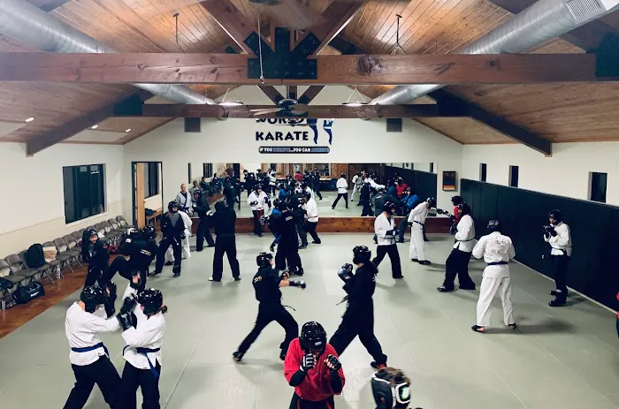 World Karate Picture 8