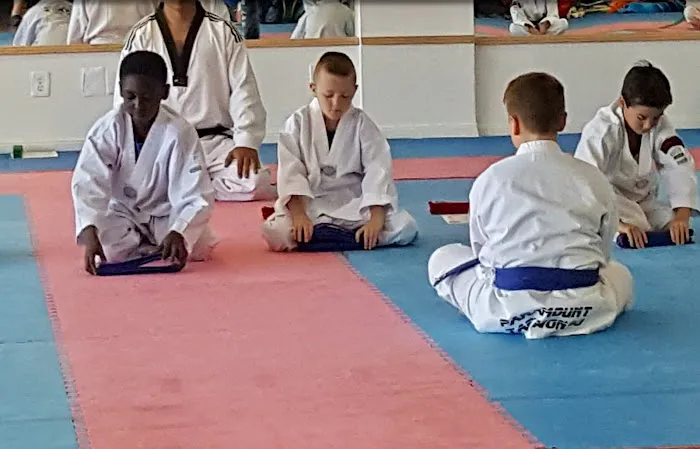 Paramount Tae Kwon Do Center Picture 4