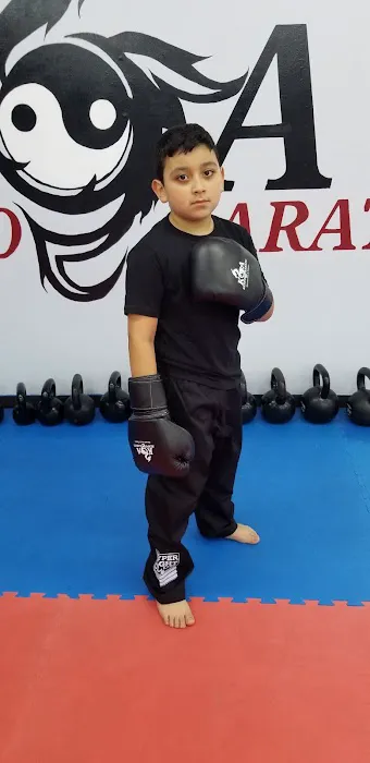 LEGACY MARTIAL ARTS Picture 7