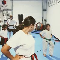 Warriors Taekwondo Academy ico