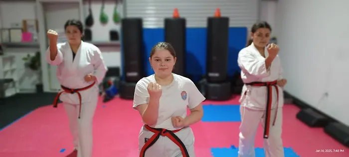 Warriors Taekwondo Academy Picture 2